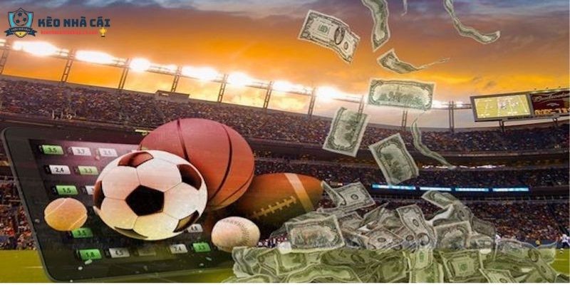 Kèo nhà cái tại web Kèo nhà cái được thể hiện như thế nào?